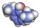 Molecular_Pharmacology_Picture