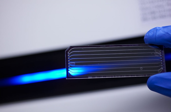 Microscope slide