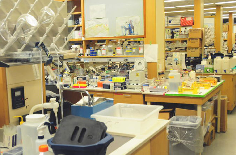 Dermatology lab room