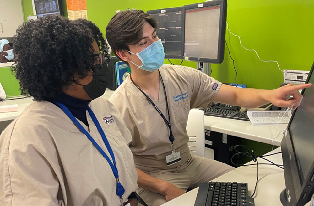 Researchers in action