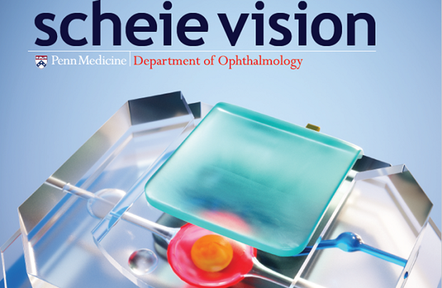 Annual Report 2019 cover
