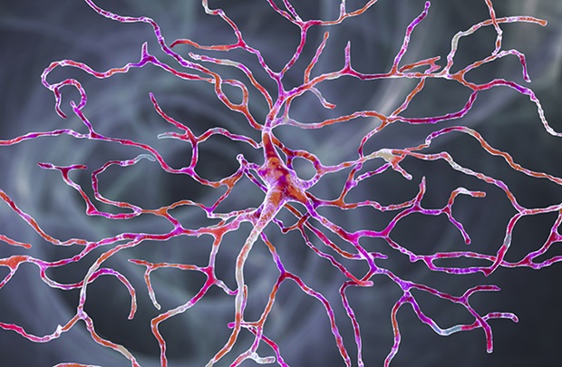 Retinal ganglion cells