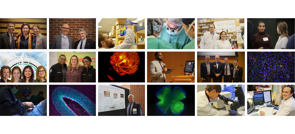 Mosaic depicting research, clinical and educational aspects of the department of ophthalmology