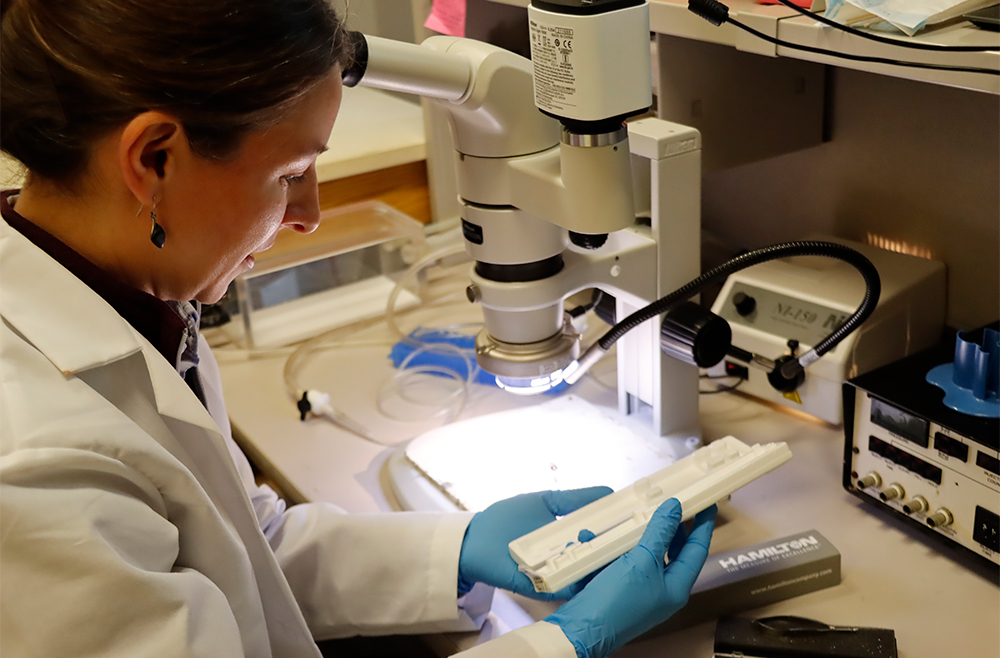 Researcher working in lab