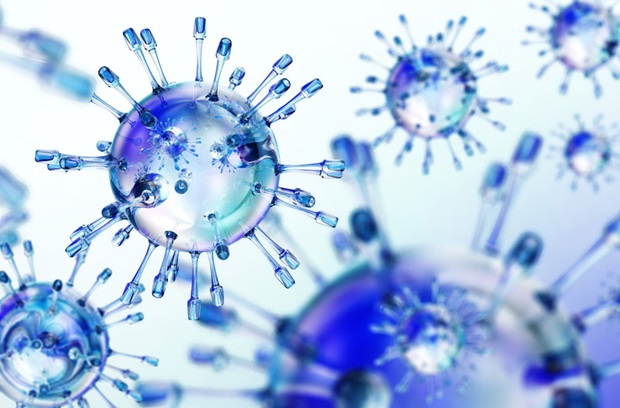Illustration of cells