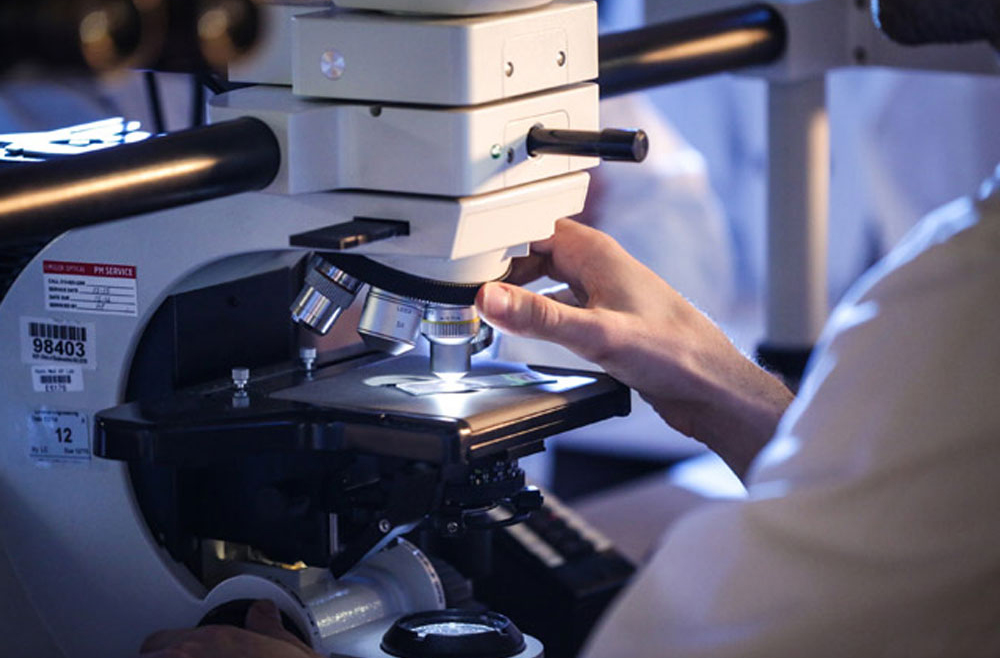 Researcher using microscope