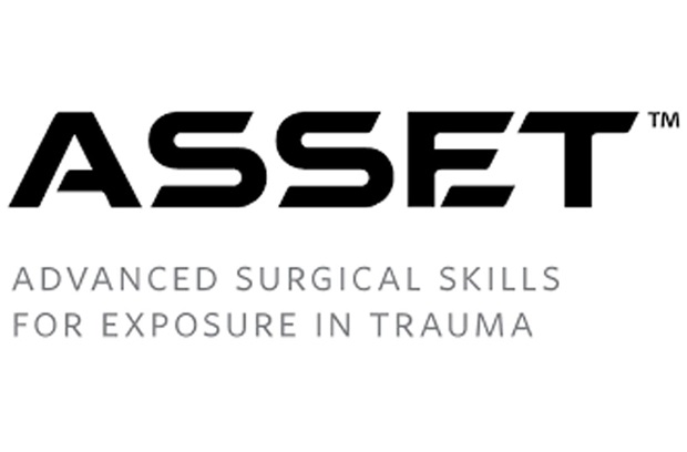 Asset logo