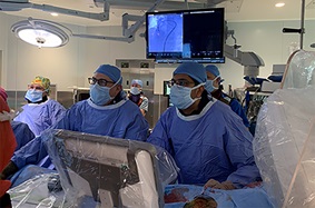Physicians performing percutaneous endovascular total aortic arch repair