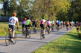 cyclists on country road