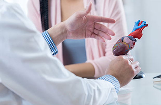 doctor holding a heart model