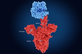 animation of the UK - B117 - variant of SARS-CoV2