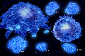 Cytokine storm with individual cytokines (IL-6, IL-8, TNF) cited