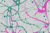 animated Multiple sclerosis