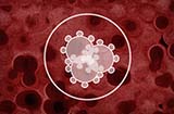 red blood cells with circles on top