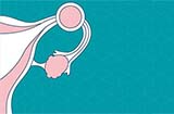 animated uterus and ovaries