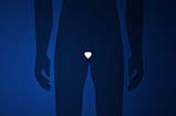 animated man with prostate highlighted