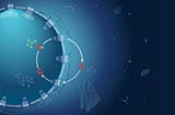 animated cell with circles