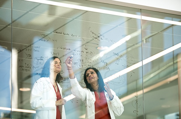Penn physicians writing on glass