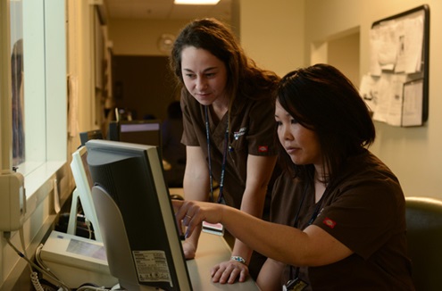 Specialists looking at computer screen