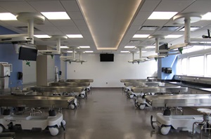Human Tissue Lab
