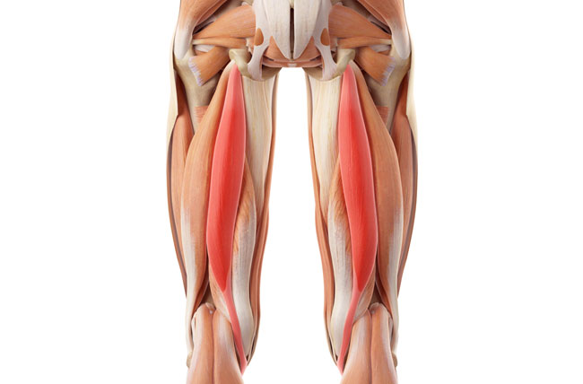 Hamstring injury