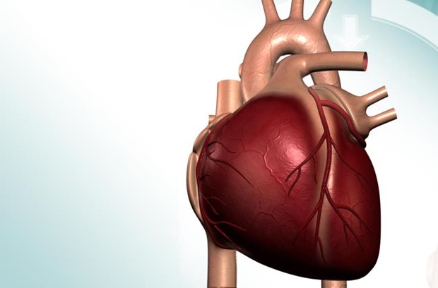 Image of heart failure