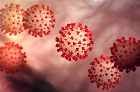 COVID-19 viruses