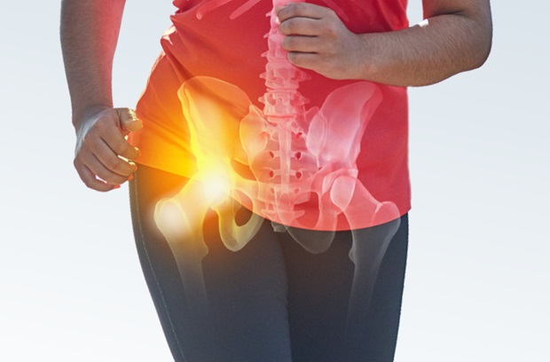 Translucent skeletal image indicating hip pain