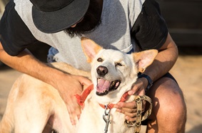 Bearded man petting dog after walk