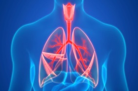 Female Lungs