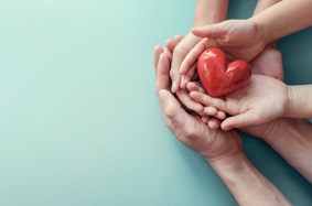 Hands Holding Heart