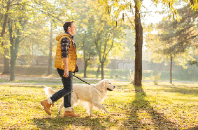 man walking dog
