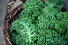blood thinners and vitamin k