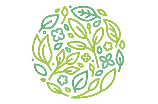 Womens health blog icon