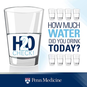 How Much Water Did You Drink Today? infographic