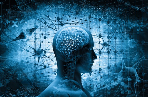 blue cartoon of a person's brain