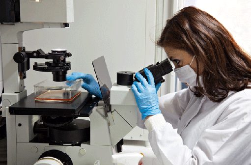 scientist conducting research