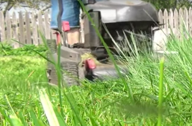 Lawn Mower Safety