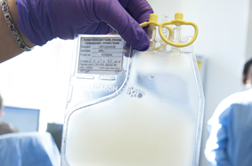 Gloved hang holding medical bag