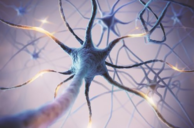 animated nerve endings