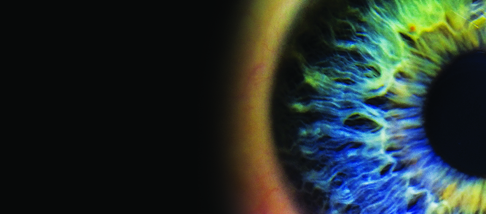 closeup of an eye